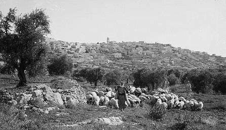 Bethlehem---Shepherds-and-flocks-in-the-foreground-