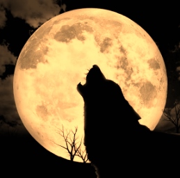 full-wolf-moon