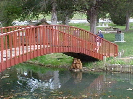 Troll bridge